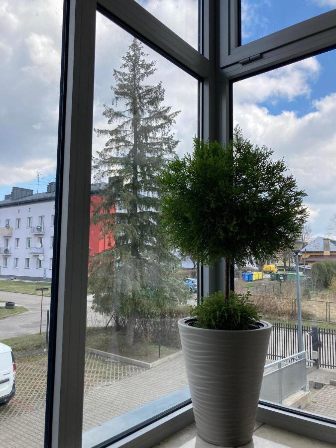 Apartament Miodowa 9 兹维日涅茨 外观 照片